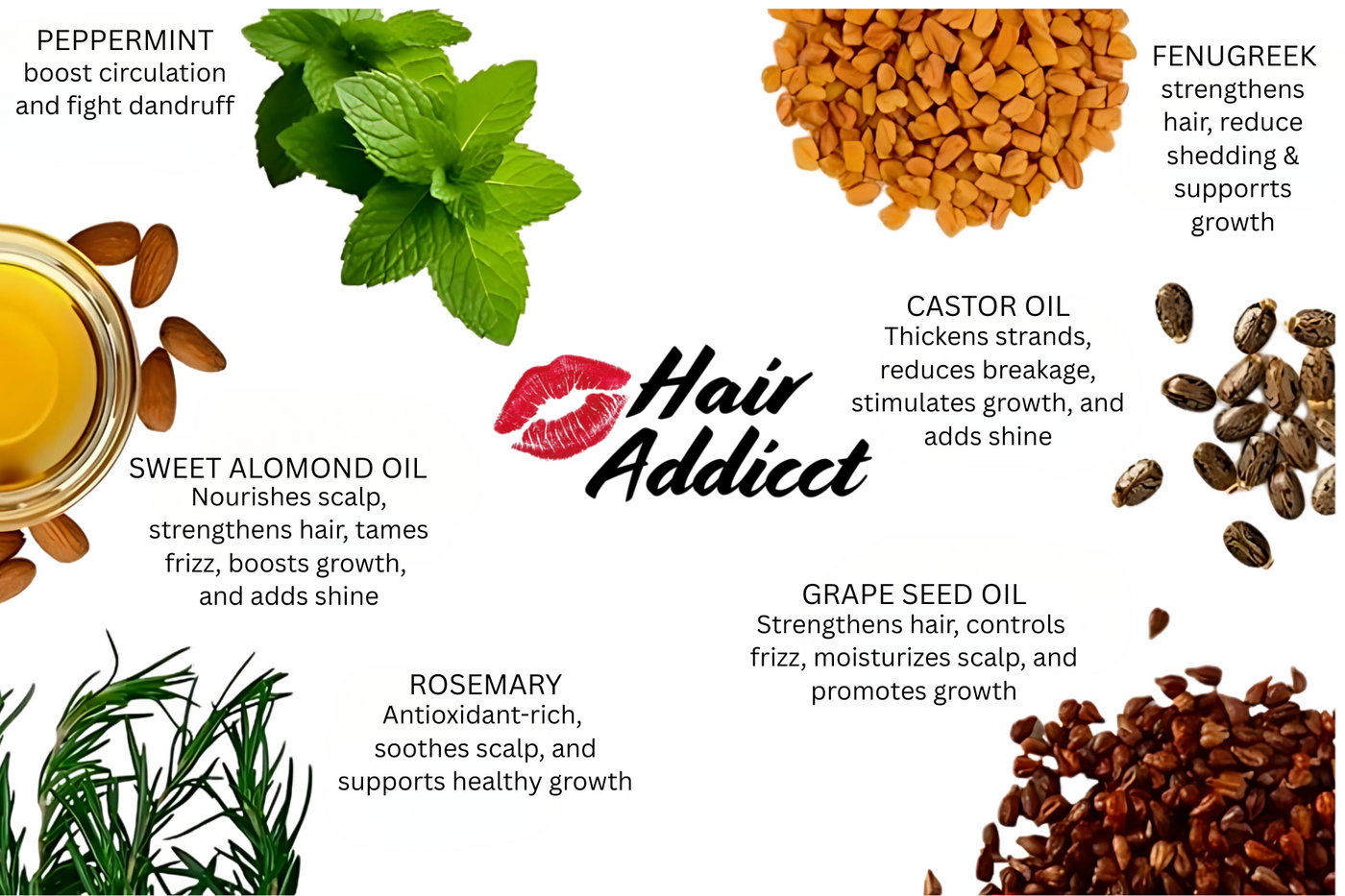 Hair Addicct, Hair care product ingredients with images and text on a white background.